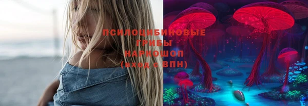 гашик Зеленокумск