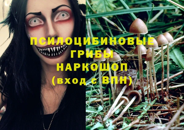 гашик Зеленокумск