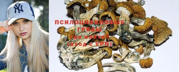 spice Великий Новгород