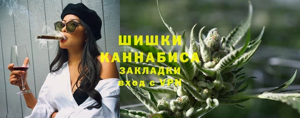 индика Пенза