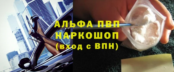 гашик Зеленокумск