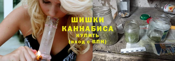 гашик Зеленокумск